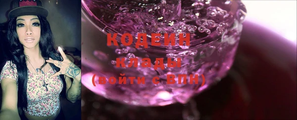 индика Карпинск