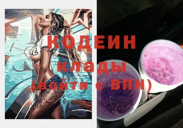 индика Карпинск