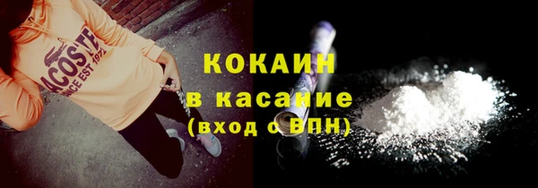 индика Карпинск