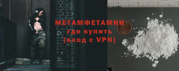 индика Карпинск