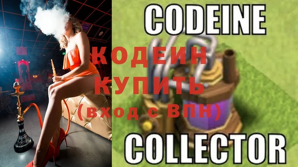 индика Карпинск