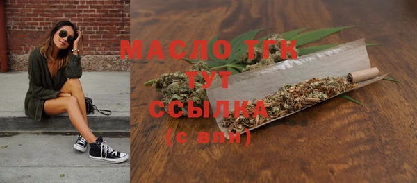 индика Карпинск