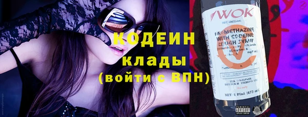 индика Карпинск