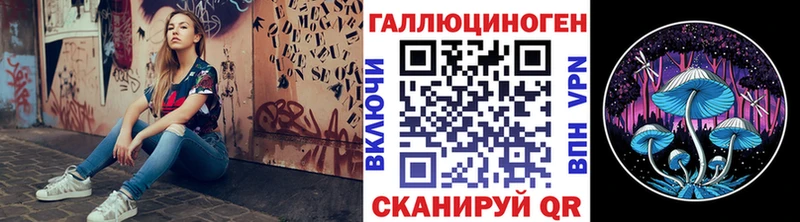 Купить Аргун Галлюциногенные грибы Cubensis